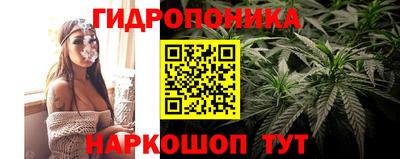 гидра Уссурийск
