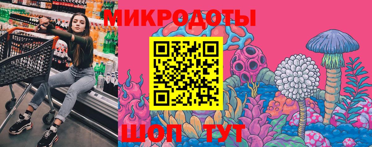 Псилоцибиновые грибы прущие грибы Карачаевск